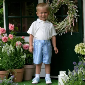 Seersucker Stripe Shorts